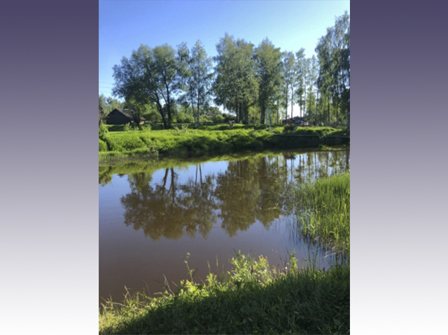 В Тверской области на речке Неледина в Красном Холме утонула женщина